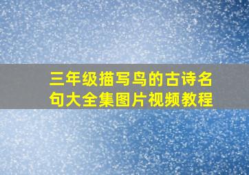 三年级描写鸟的古诗名句大全集图片视频教程