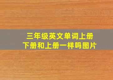 三年级英文单词上册下册和上册一样吗图片