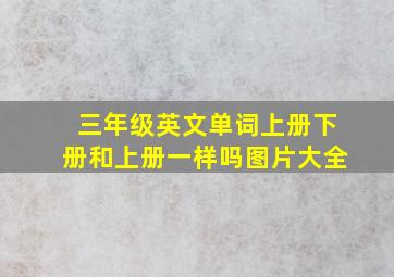 三年级英文单词上册下册和上册一样吗图片大全