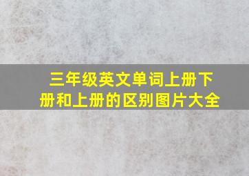 三年级英文单词上册下册和上册的区别图片大全