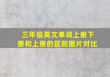 三年级英文单词上册下册和上册的区别图片对比