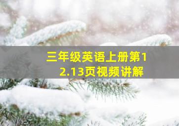 三年级英语上册第12.13页视频讲解