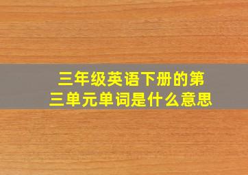 三年级英语下册的第三单元单词是什么意思