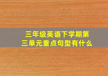 三年级英语下学期第三单元重点句型有什么