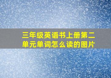 三年级英语书上册第二单元单词怎么读的图片