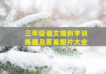 三年级语文错别字训练题及答案图片大全