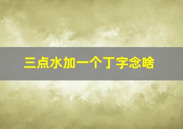 三点水加一个丁字念啥