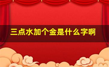 三点水加个金是什么字啊