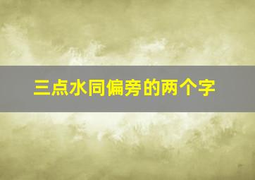 三点水同偏旁的两个字