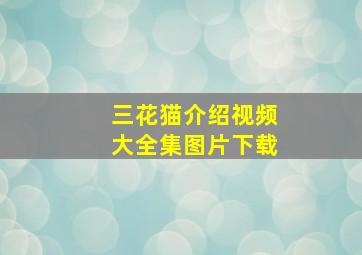 三花猫介绍视频大全集图片下载