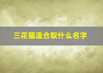 三花猫适合取什么名字