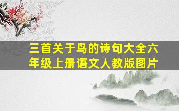 三首关于鸟的诗句大全六年级上册语文人教版图片