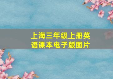 上海三年级上册英语课本电子版图片