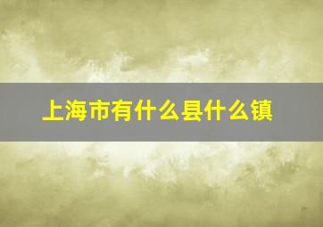 上海市有什么县什么镇