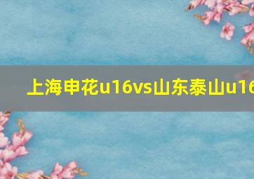 上海申花u16vs山东泰山u16