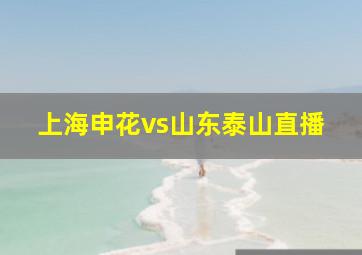 上海申花vs山东泰山直播