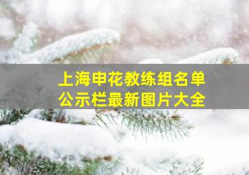 上海申花教练组名单公示栏最新图片大全