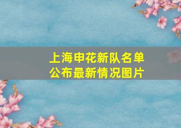 上海申花新队名单公布最新情况图片