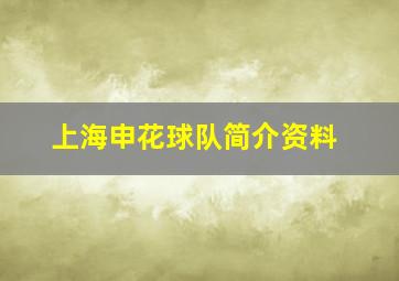 上海申花球队简介资料