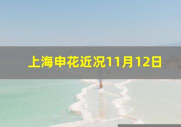 上海申花近况11月12日