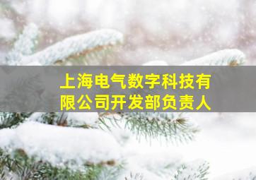 上海电气数字科技有限公司开发部负责人