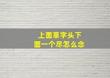 上面草字头下面一个尽怎么念