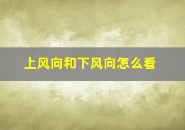 上风向和下风向怎么看