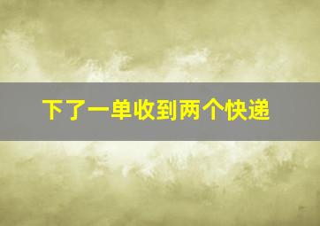 下了一单收到两个快递