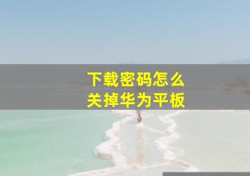 下载密码怎么关掉华为平板