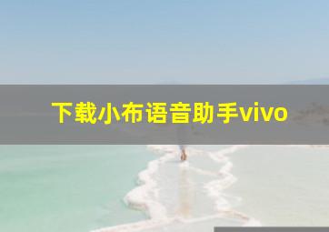 下载小布语音助手vivo