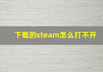 下载的steam怎么打不开