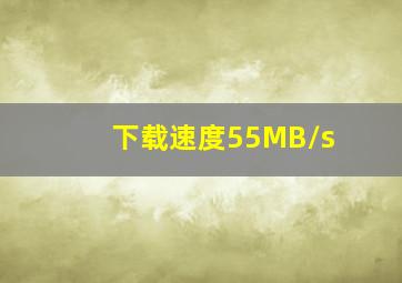 下载速度55MB/s