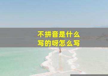 不拼音是什么写的呀怎么写