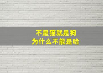 不是猫就是狗为什么不能是哈