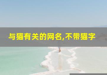 与猫有关的网名,不带猫字