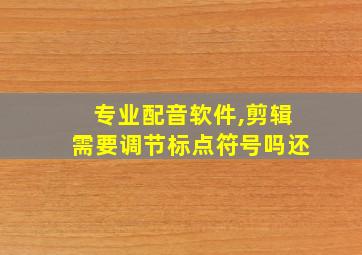 专业配音软件,剪辑需要调节标点符号吗还