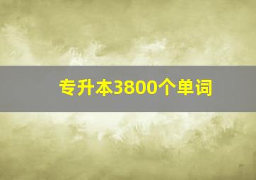 专升本3800个单词