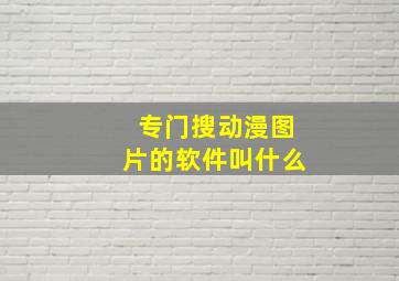 专门搜动漫图片的软件叫什么