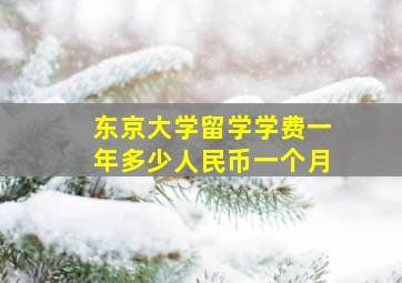 东京大学留学学费一年多少人民币一个月