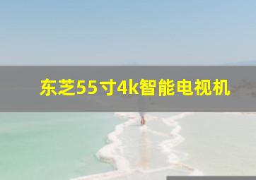 东芝55寸4k智能电视机