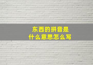 东西的拼音是什么意思怎么写