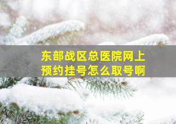 东部战区总医院网上预约挂号怎么取号啊