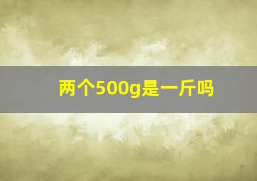 两个500g是一斤吗