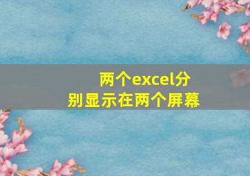 两个excel分别显示在两个屏幕