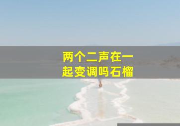 两个二声在一起变调吗石榴