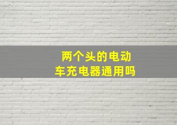 两个头的电动车充电器通用吗