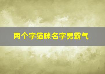 两个字猫咪名字男霸气