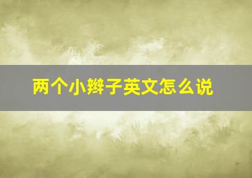 两个小辫子英文怎么说