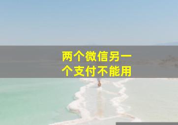 两个微信另一个支付不能用