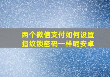 两个微信支付如何设置指纹锁密码一样呢安卓